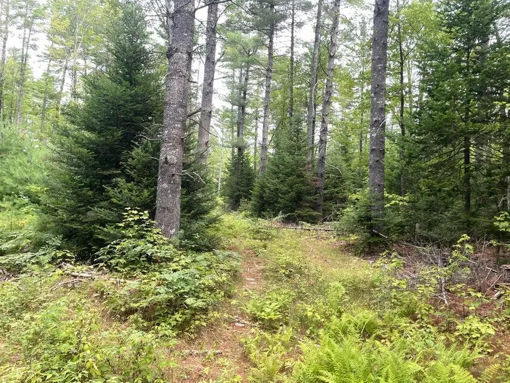 MAP3 L14 N Road Harmony ME 04942
