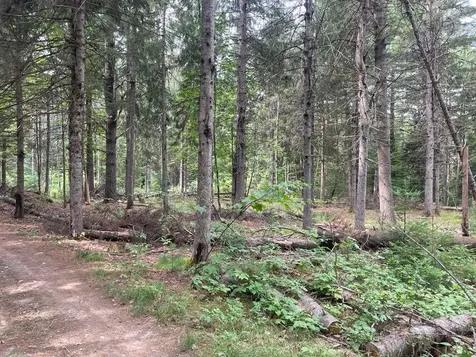 MAP3 L14 N Road Harmony ME 04942
