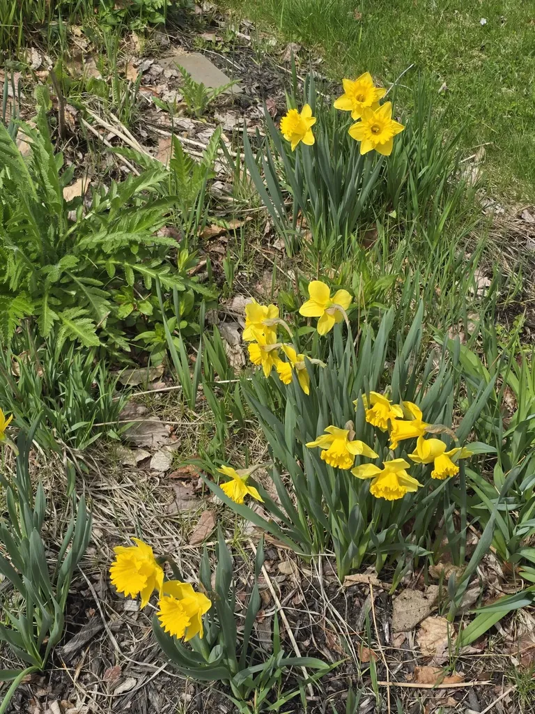 341 East Road Wales ME 04280