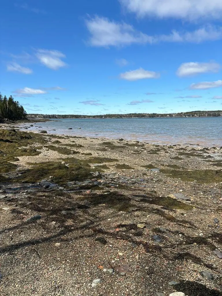 Lot 17a Yoho Head Road Machiasport ME 04655