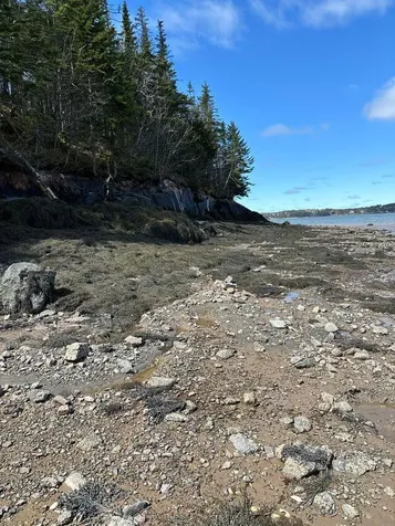 Lot 17a Yoho Head Road Machiasport ME 04655