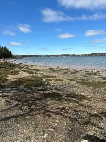 Lot 17a Yoho Head Road Machiasport ME 04655