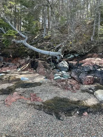 Lot 17a Yoho Head Road Machiasport ME 04655