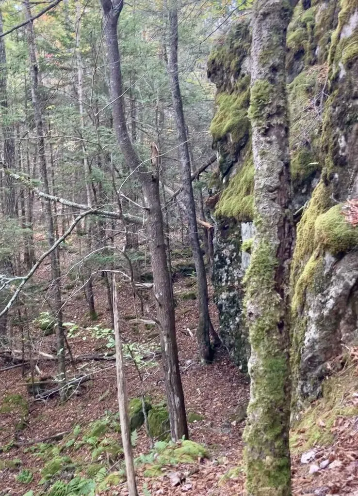 MAP1 Lot57 West Side Of Main Road Westport Island ME 04578