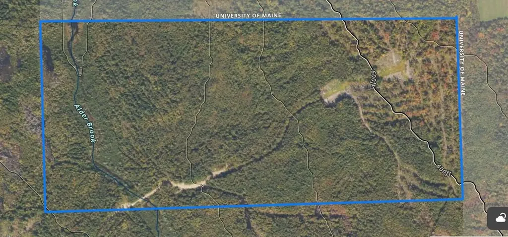 005-005 Grendell Road Chapman ME 04757