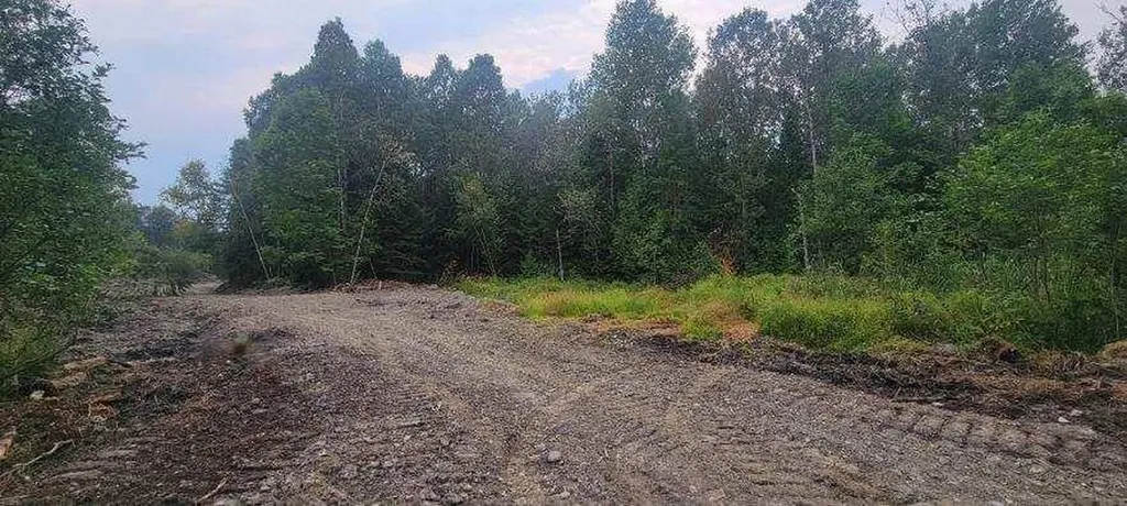005-005 Grendell Road Chapman ME 04757