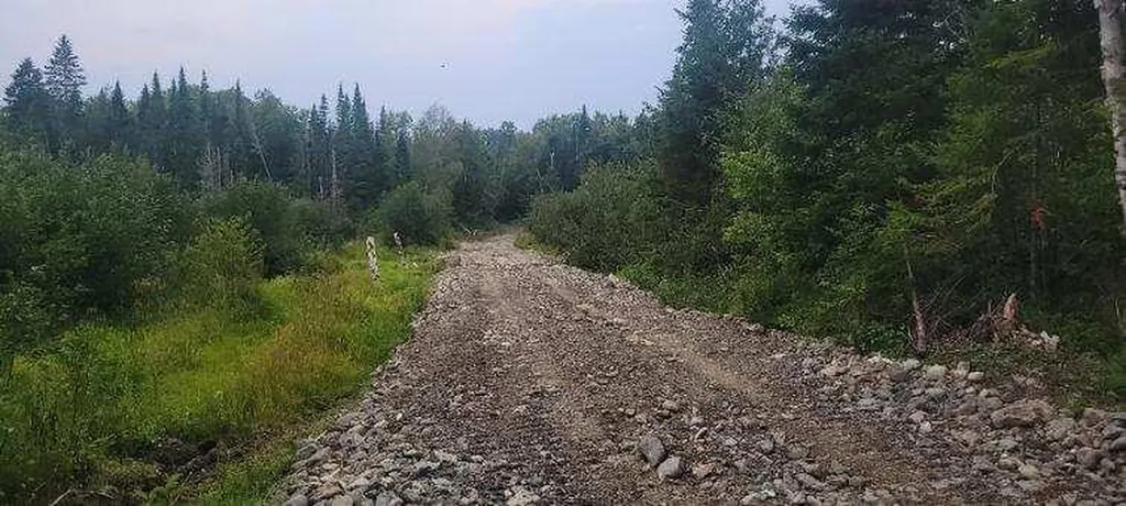 005-005 Grendell Road Chapman ME 04757