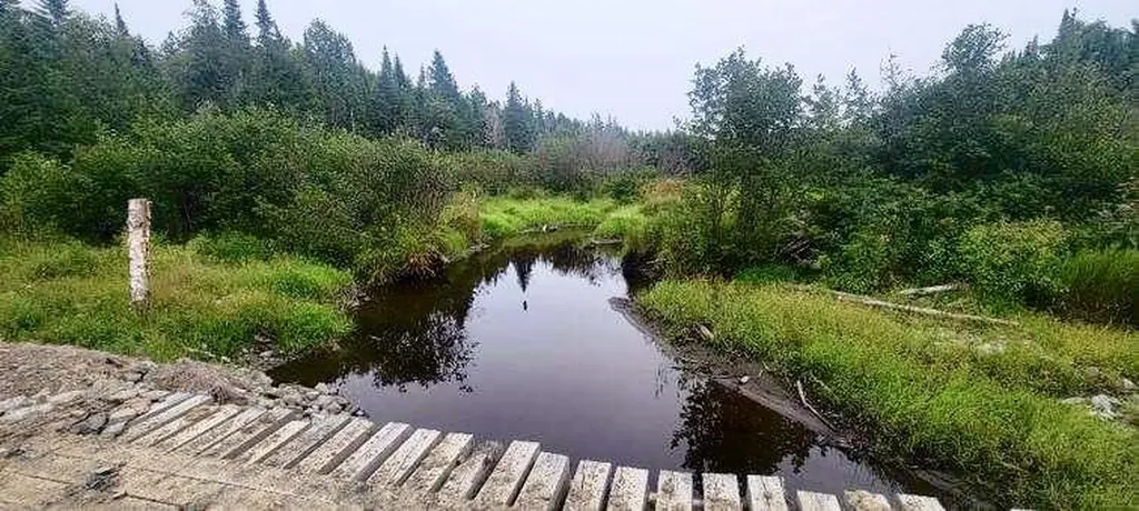 005-005 Grendell Road Chapman ME 04757