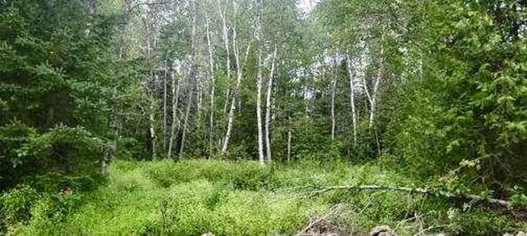 005-005 Grendell Road Chapman ME 04757