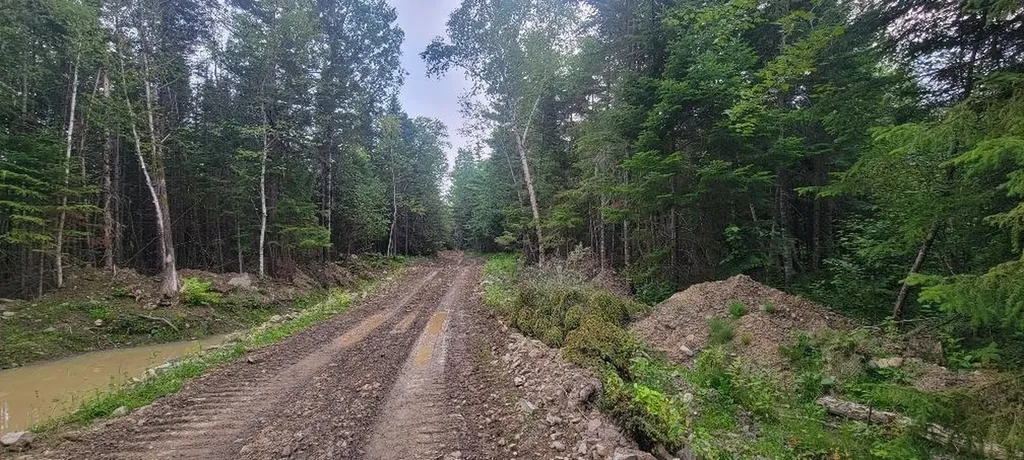 005-005 Grendell Road Chapman ME 04757