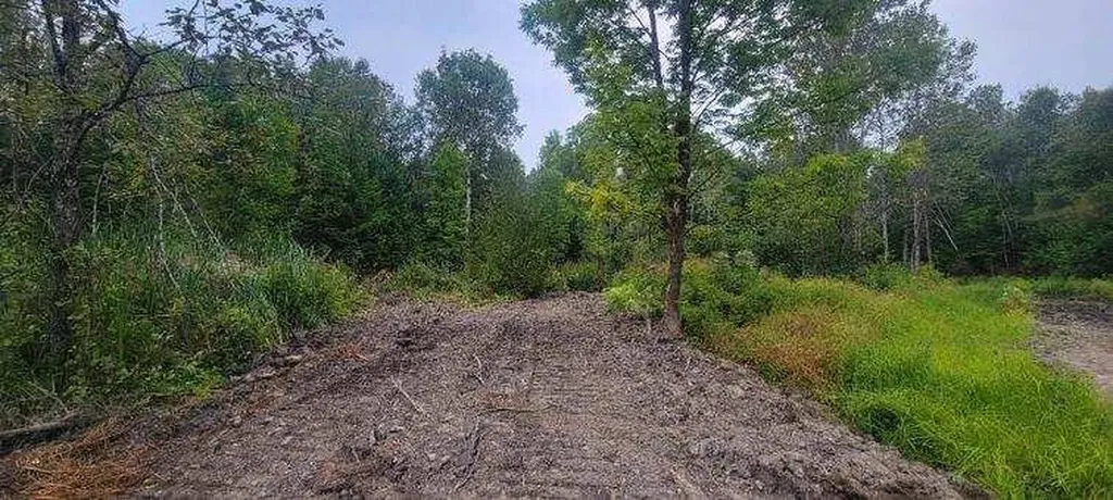 005-005 Grendell Road Chapman ME 04757