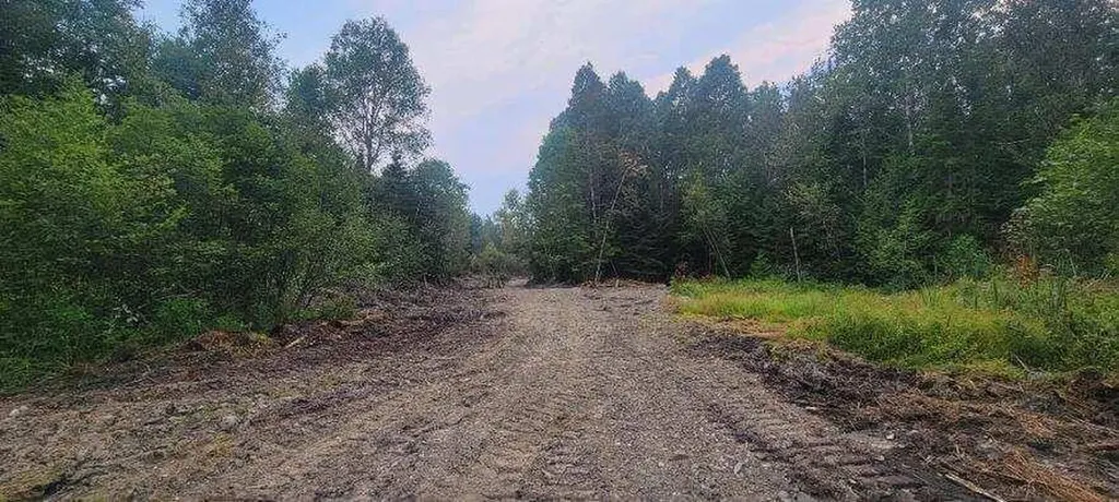 005-005 Grendell Road Chapman ME 04757