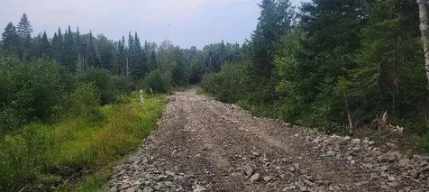 005-005 Grendell Road Chapman ME 04757