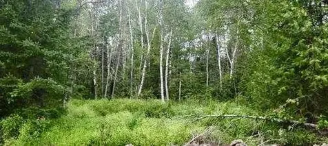 005-005 Grendell Road Chapman ME 04757