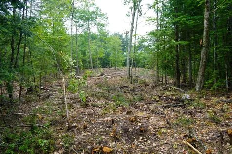 89 Chapman Road Harrison ME 04040