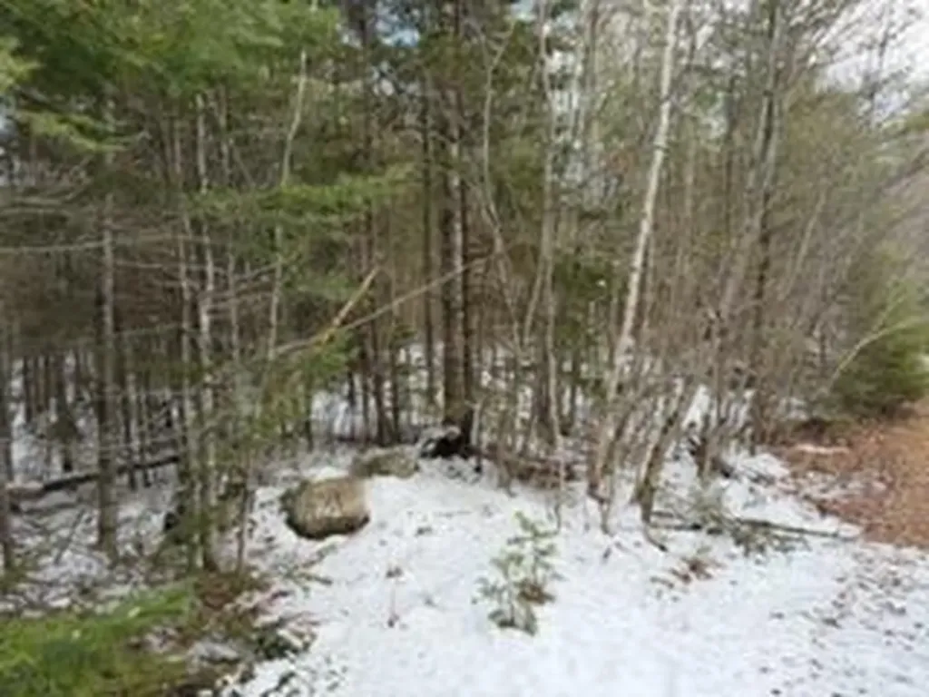 Lot 068002 Shore Road Bremen ME 04551