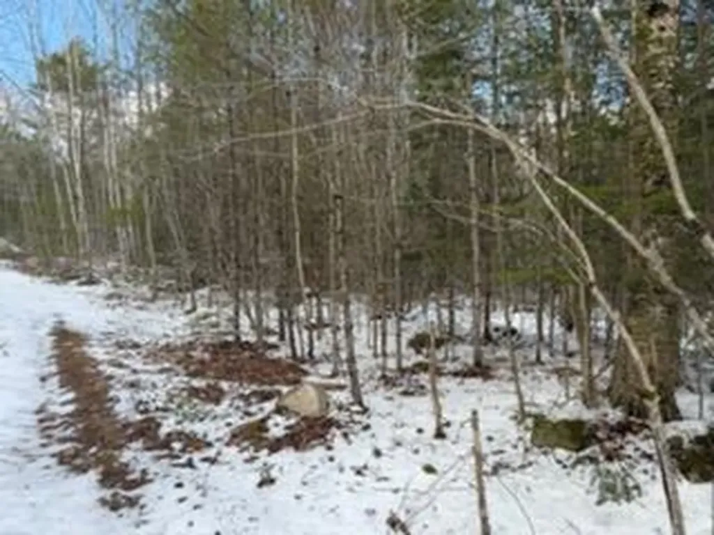 Lot 068002 Shore Road Bremen ME 04551