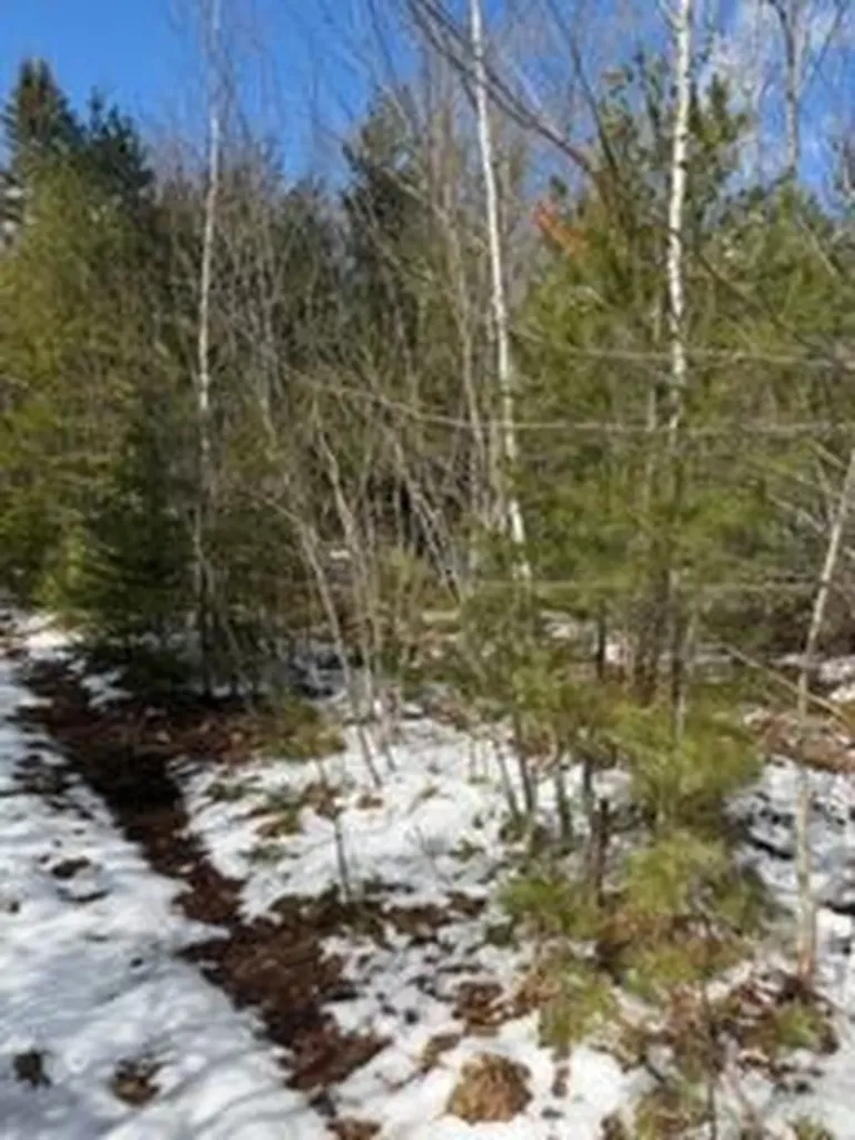 Lot 068002 Shore Road Bremen ME 04551