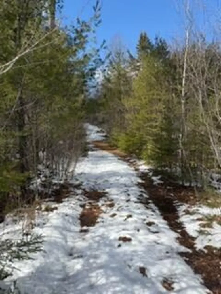 Lot 068002 Shore Road Bremen ME 04551