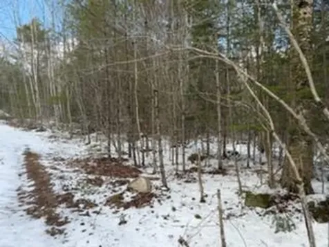 Lot 068002 Shore Road Bremen ME 04551