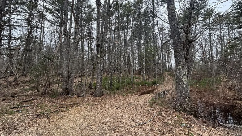 74 Mountain Road Woolwich ME 04579