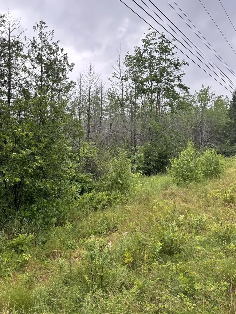 Lot 60 Tenan Lane Cherryfield ME 04622