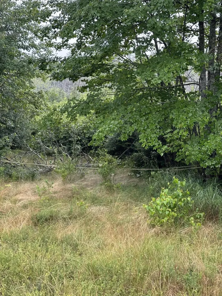 Lot 60 Tenan Lane Cherryfield ME 04622