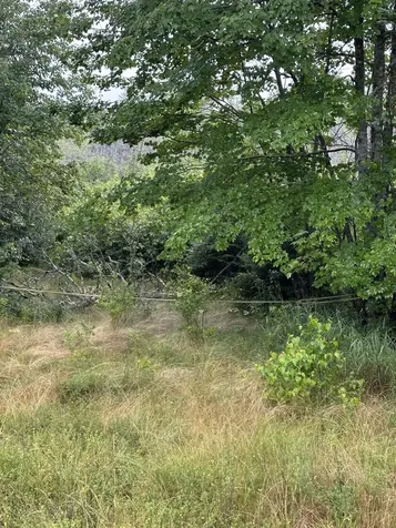 Lot 60 Tenan Lane Cherryfield ME 04622