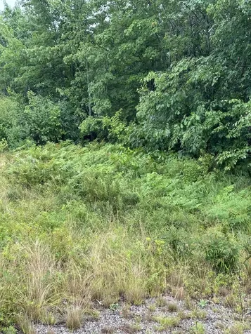 Lot 60 Tenan Lane Cherryfield ME 04622