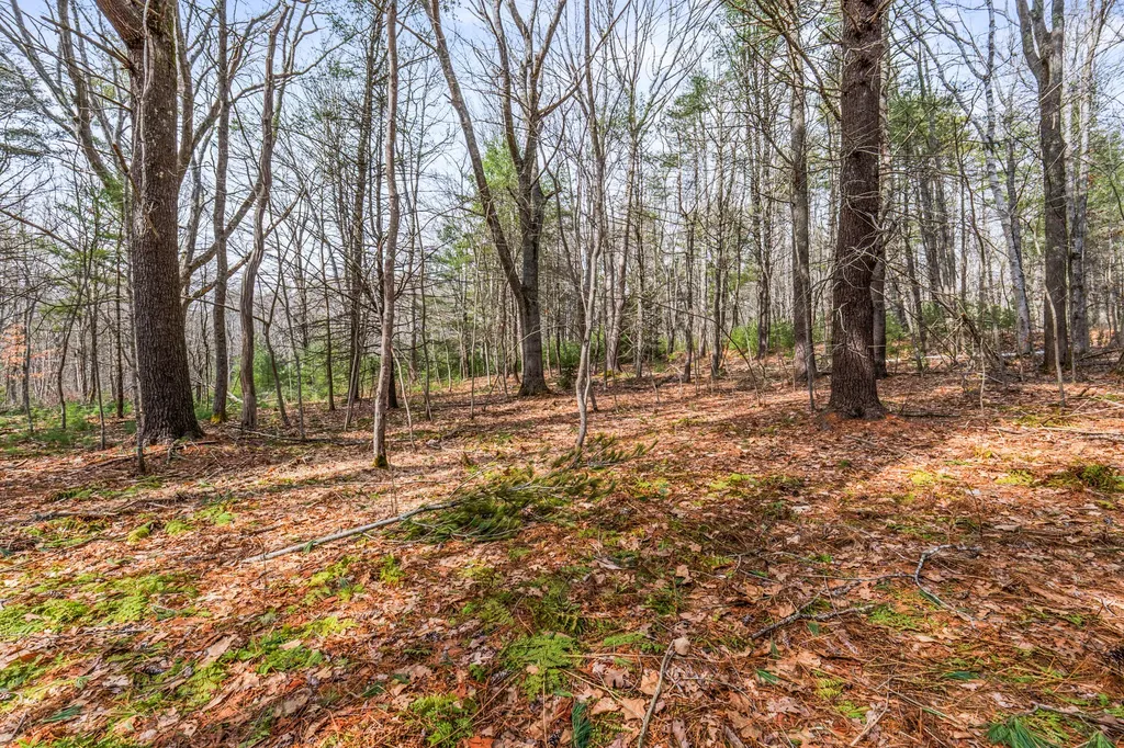 Lot 7-1 Captain John Parker Road Phippsburg ME 04562