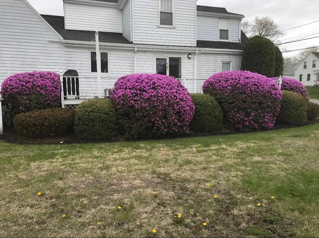 65 North Street Machias ME 04654