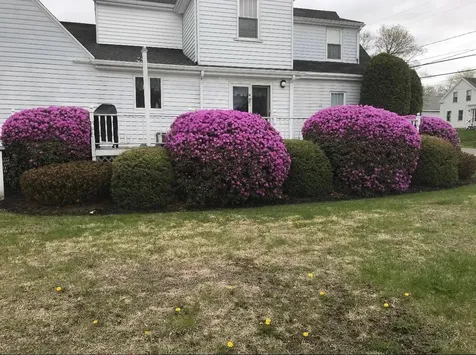 65 North Street Machias ME 04654
