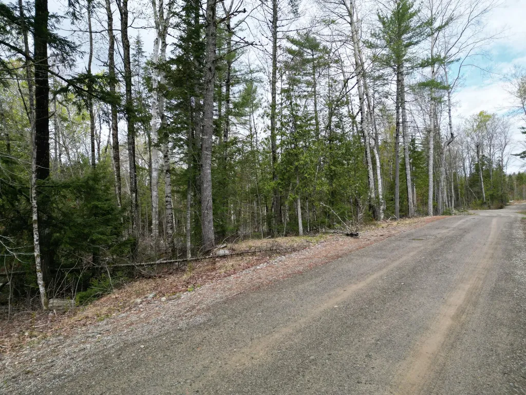 8 Twin Springs Lane Lincoln ME 04457