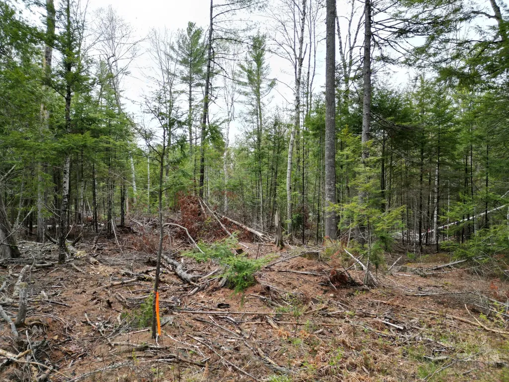 8 Twin Springs Lane Lincoln ME 04457