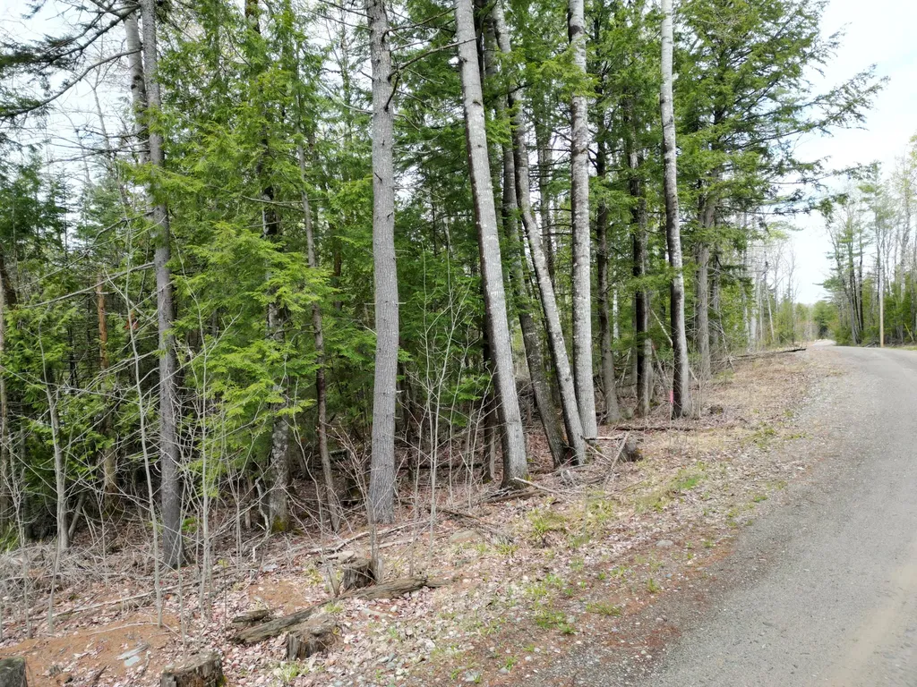 8 Twin Springs Lane Lincoln ME 04457