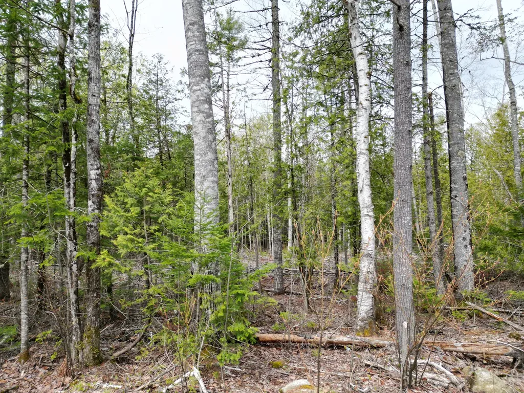 8 Twin Springs Lane Lincoln ME 04457