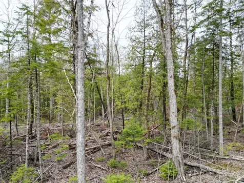 8 Twin Springs Lane Lincoln ME 04457