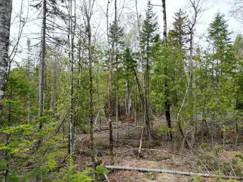 8 Twin Springs Lane Lincoln ME 04457