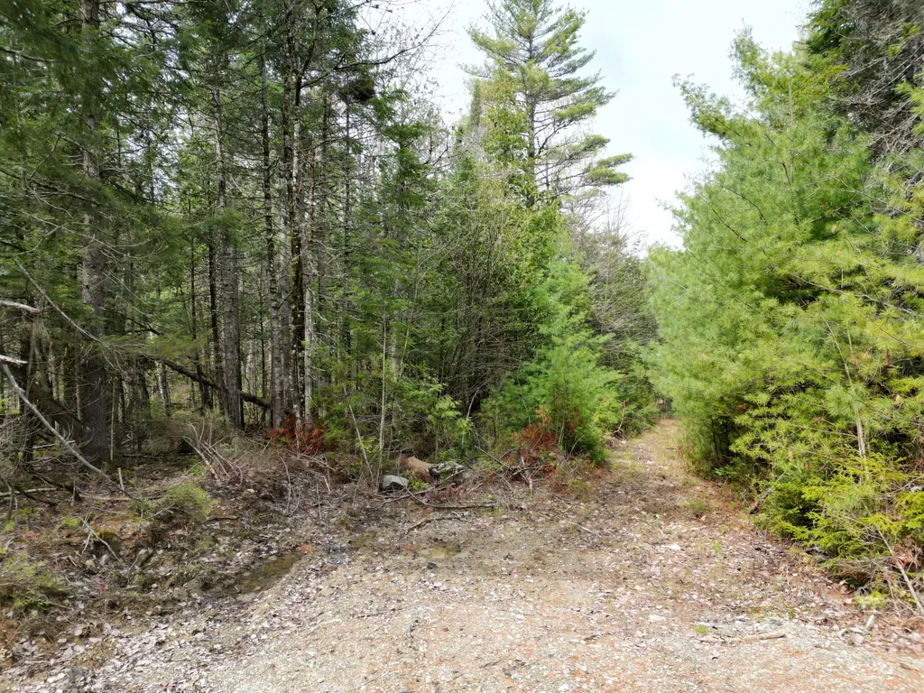 20 Twin Springs Lane Lincoln ME 04457