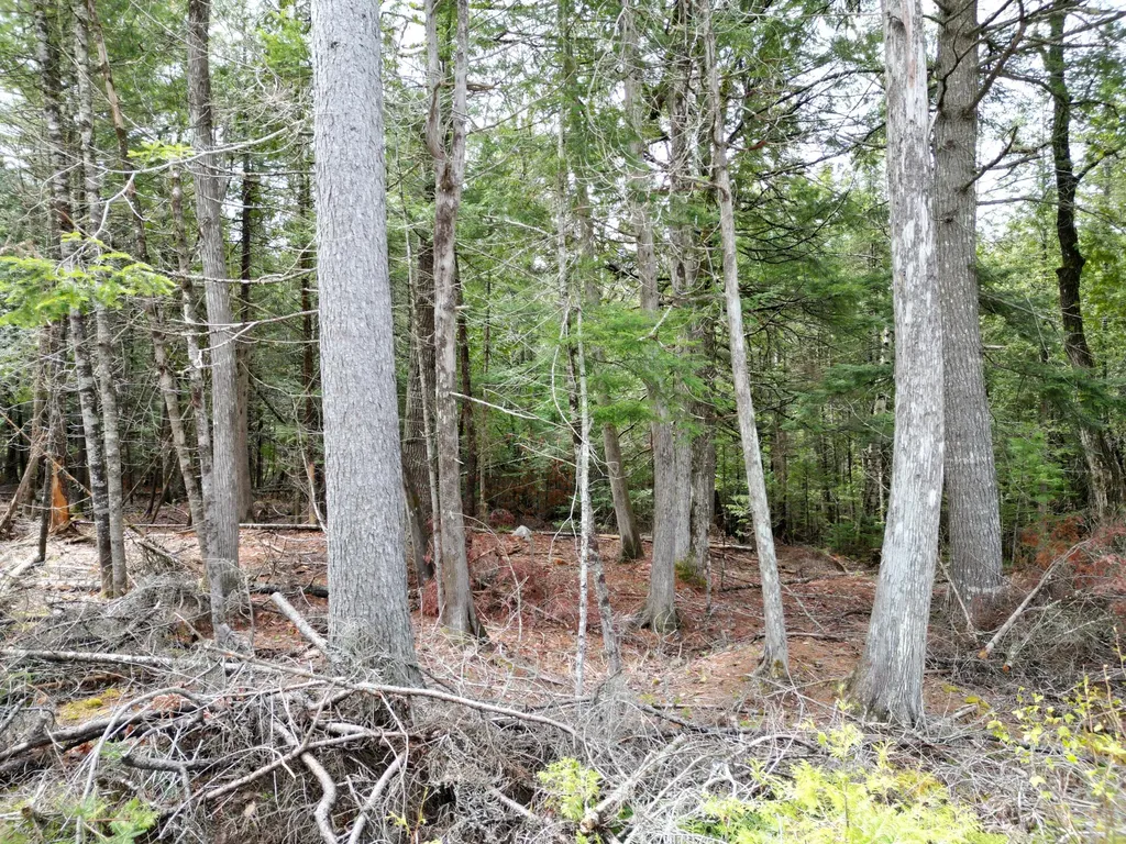 20 Twin Springs Lane Lincoln ME 04457