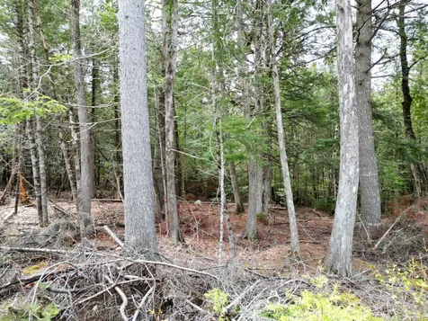 20 Twin Springs Lane Lincoln ME 04457
