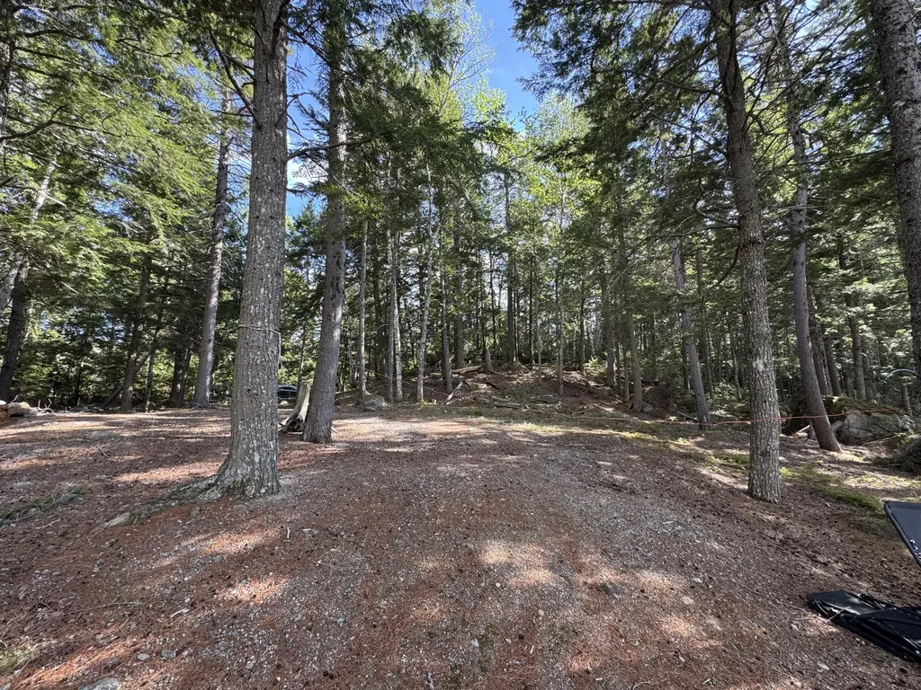 00 Elbow Lake Road T3 Indian Purchase Twp ME 04462