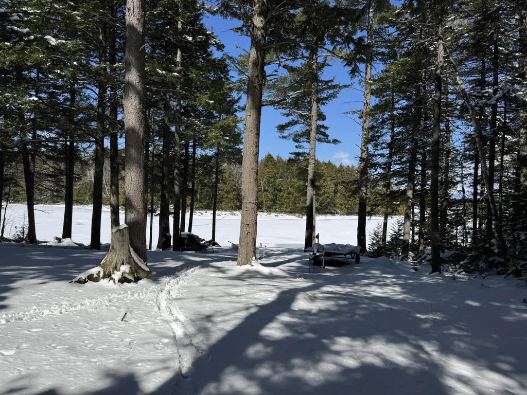 00 Elbow Lake Road T3 Indian Purchase Twp ME 04462