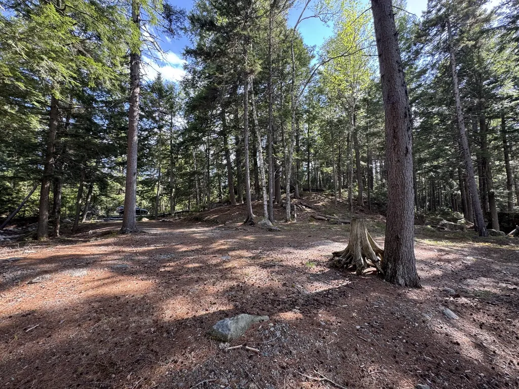 00 Elbow Lake Road T3 Indian Purchase Twp ME 04462
