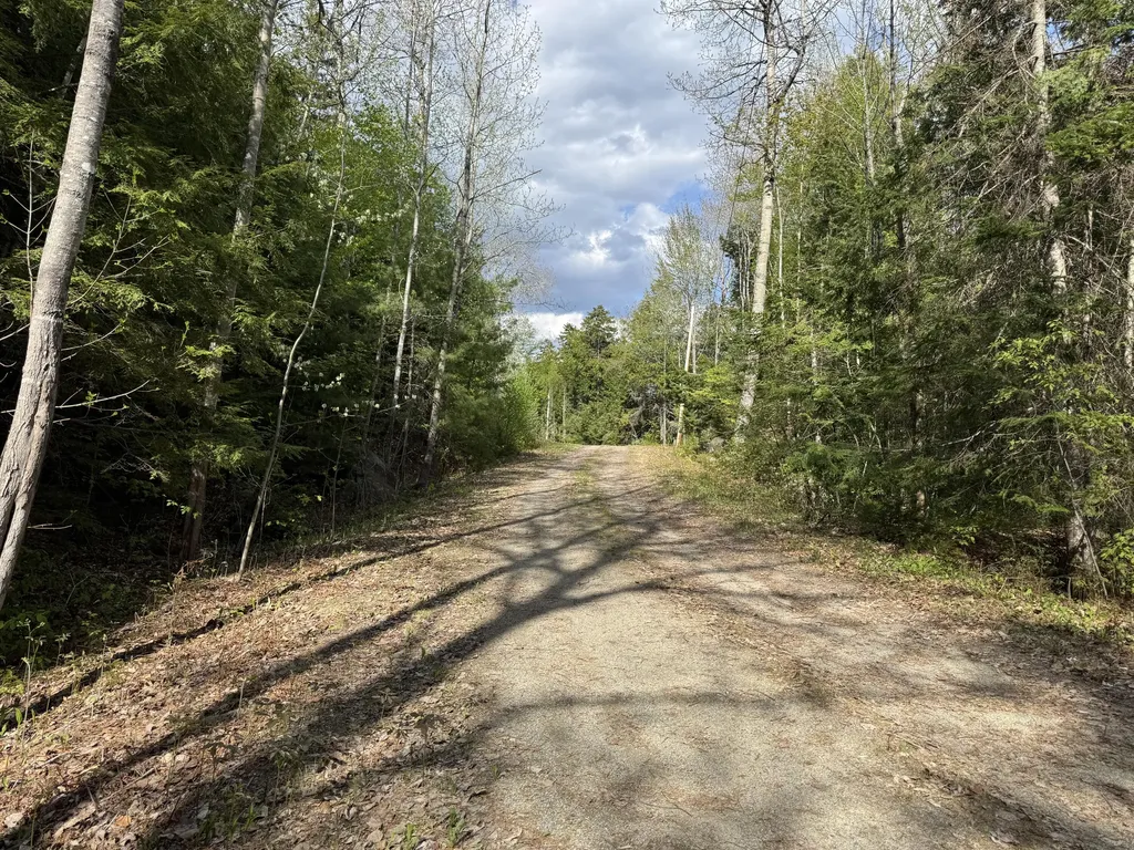 00 Elbow Lake Road T3 Indian Purchase Twp ME 04462