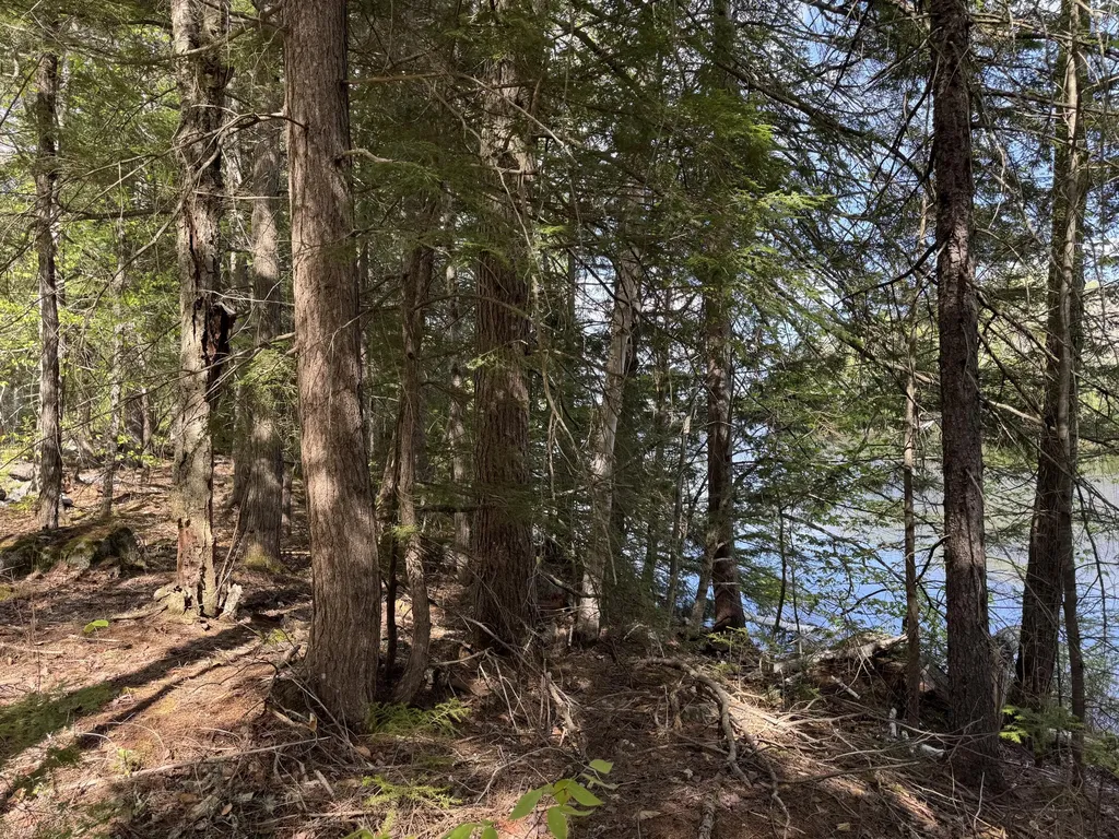 00 Elbow Lake Road T3 Indian Purchase Twp ME 04462