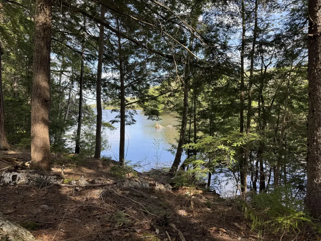 00 Elbow Lake Road T3 Indian Purchase Twp ME 04462