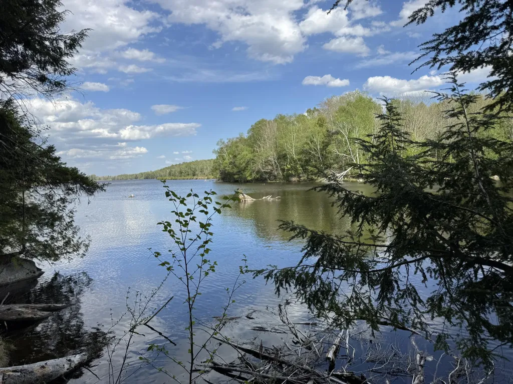 00 Elbow Lake Road T3 Indian Purchase Twp ME 04462
