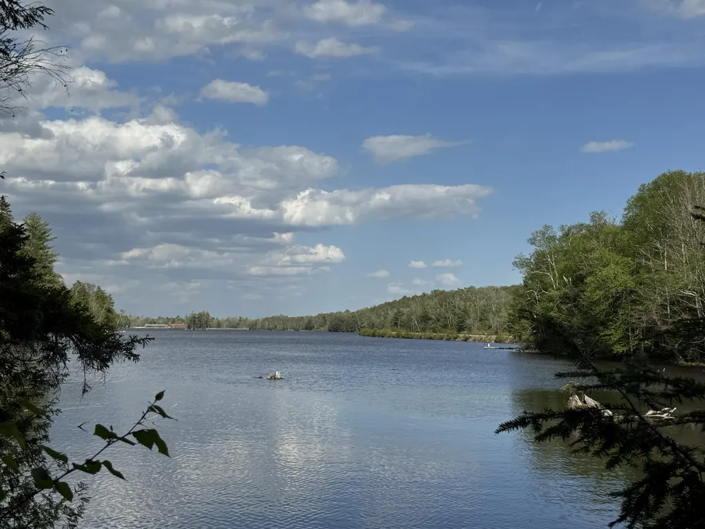 00 Elbow Lake Road T3 Indian Purchase Twp ME 04462