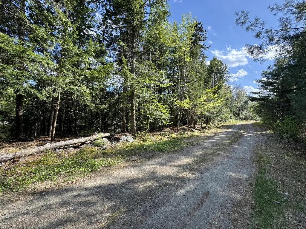 00 Elbow Lake Road T3 Indian Purchase Twp ME 04462